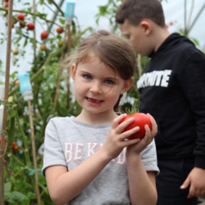 small girl holding a tomatoe 