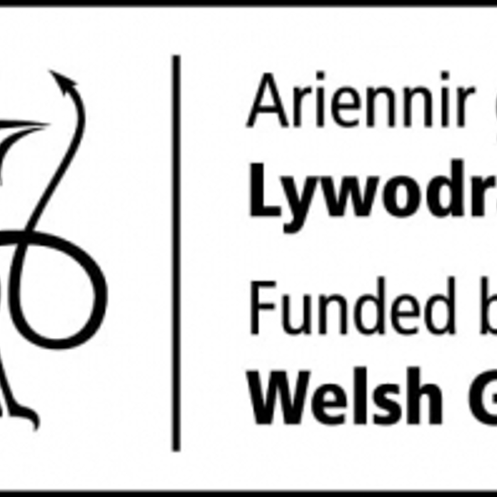 Welsh government logo