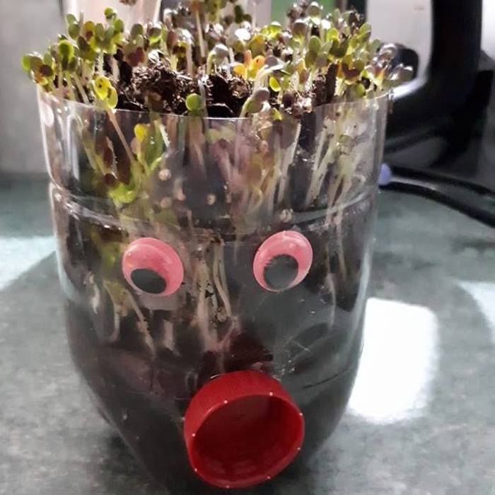 plant with eyes and a mouth made from recycled plastic 