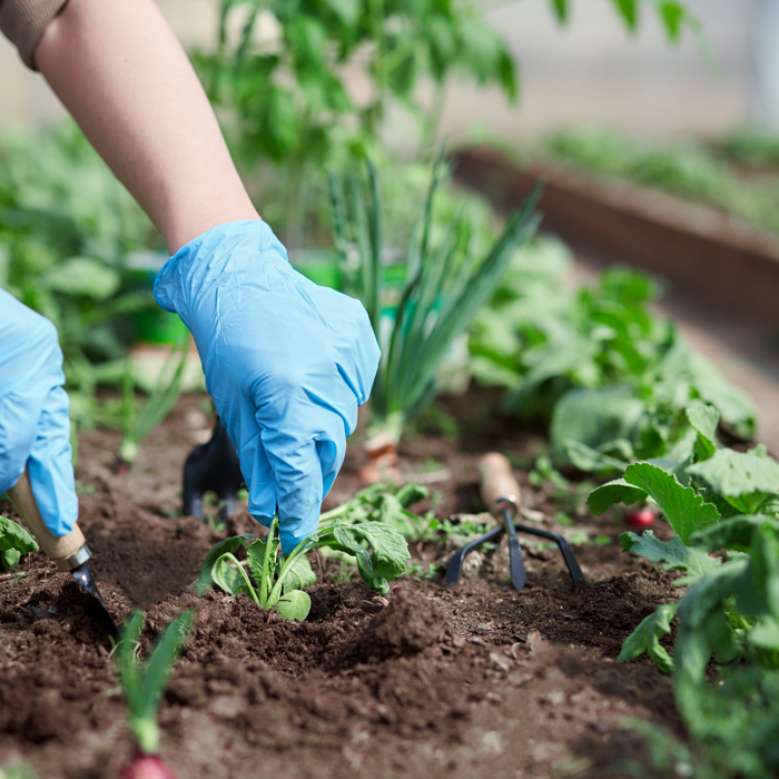 gardening 