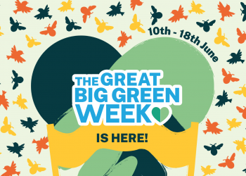 GREAT BIG GREEN WEEK: What can I do to make a difference?